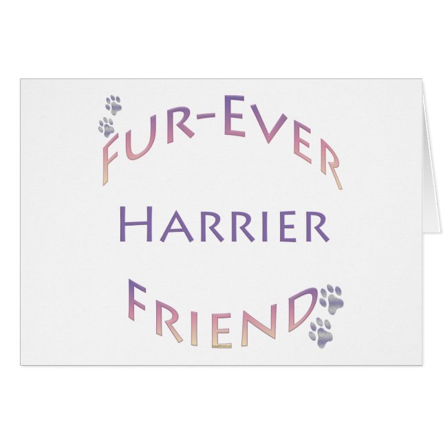 Harrier Furever (Devant horizontal)