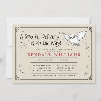 Harry Potter | Baby Shower Livraison Spéciale Hedw