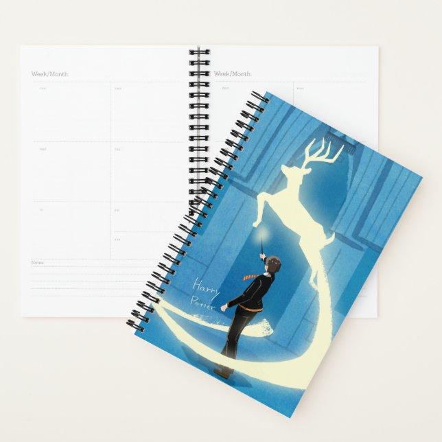HARRY POTTER™ Peinture de Patronus (Devant avec enveloppe)
