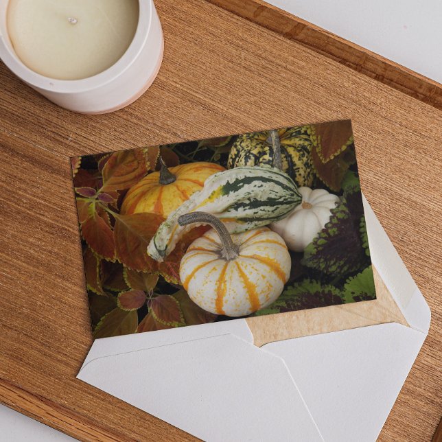 Harvest Squash Thanksgiving Dinner Invitation (In Situ)