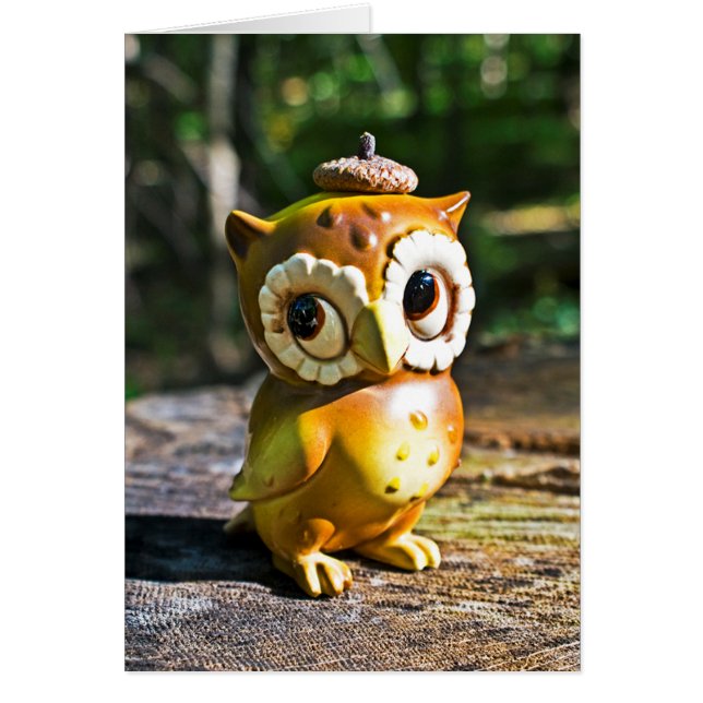 Harvey the Owl III (Devant)