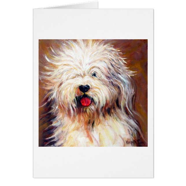 Harvey - vieux chien de moutons anglais (Devant)