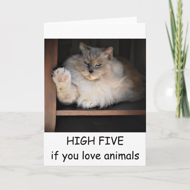 HAUT CINQ si vous aimez les animaux, carte (Devant)