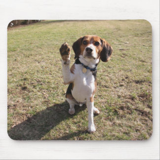 Haut tapis de souris cinq de beagle