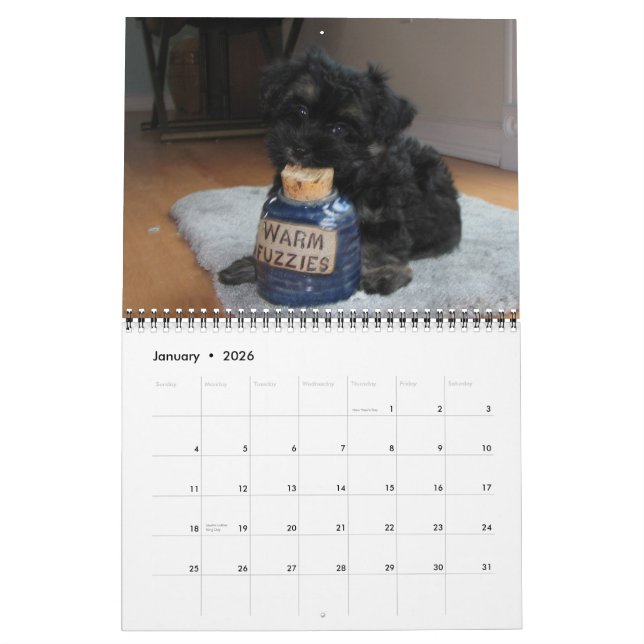 Havanais Secourir Puppies Calendrier 2012 (Jan 2026)