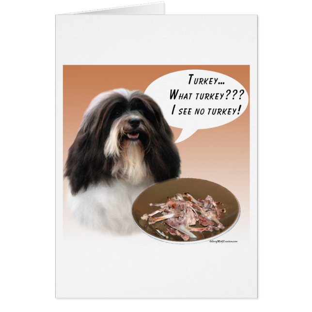 Havanais Turquie (Devant)