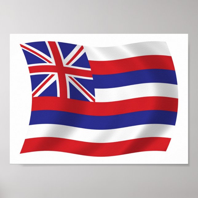Hawaii Flag Poster Print (Devant)