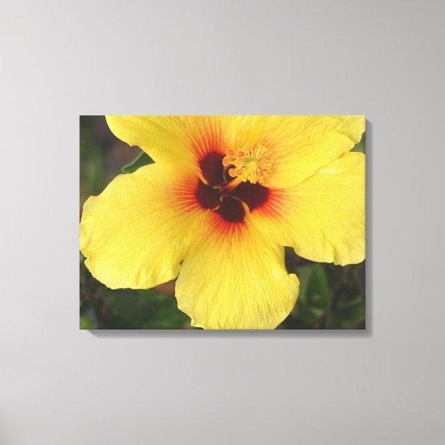 Hawaii Hibiscus Fleur Enveloppé toile Imprimer (Recto)