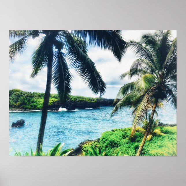Hawaiian Scene Poster (Devant)