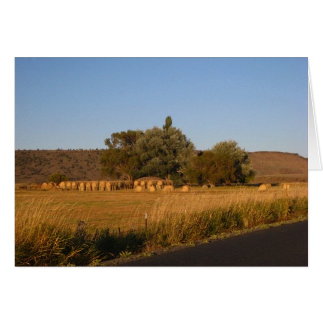 Hay (Devant Horizontal)