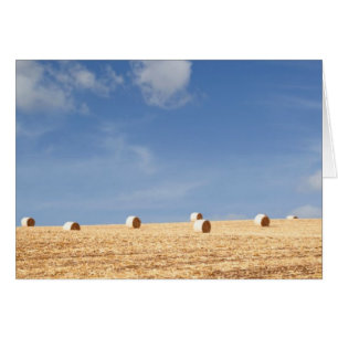 Hay Bales on Field