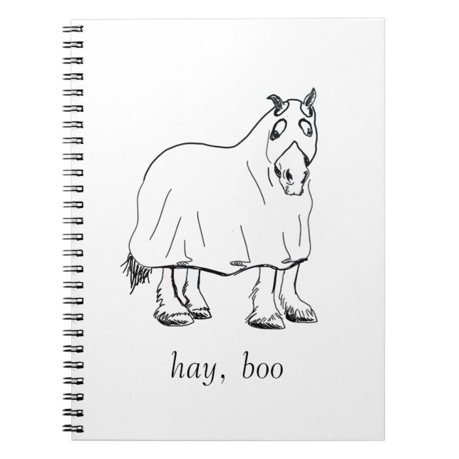 hay, boo journal (Devant)