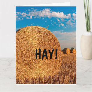 HAY FUNNY PUN HELLO Cartes de voeux