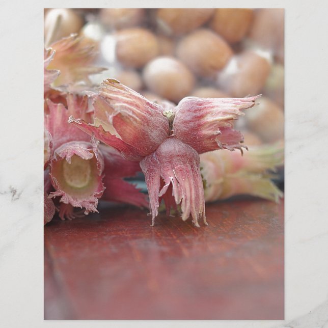 Hazelnuts.JPG (Devant)