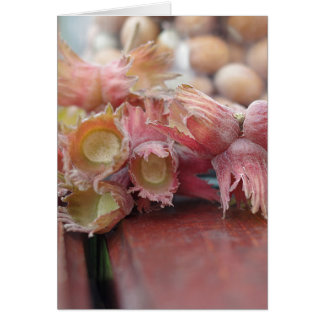 Hazelnuts.JPG
