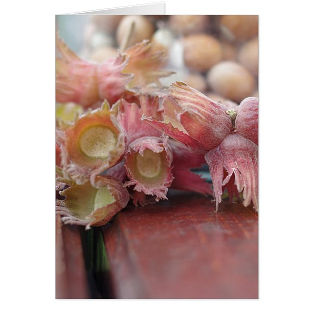Hazelnuts.JPG (Devant)