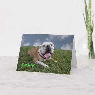 Hé bébé ! Carte d'anniversaire de bouledogue