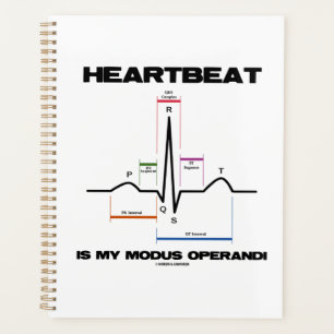 Heartbeat Est Mon Modus Operandi Sinus Rhythm