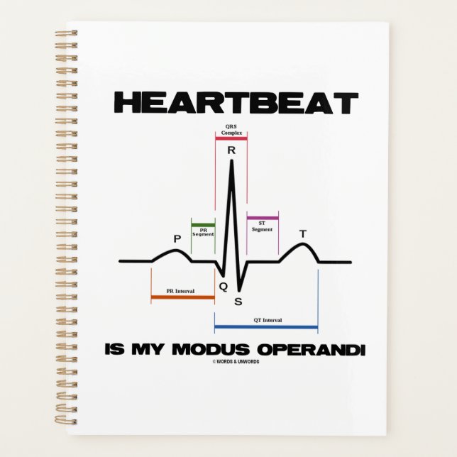 Heartbeat Est Mon Modus Operandi Sinus Rhythm (Devant)