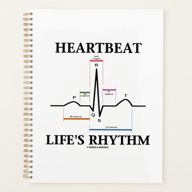 Heartbeat Life's Rhythm ECG EKG Electrocardiogram (Devant)