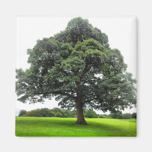 Heaton Park Magnet
