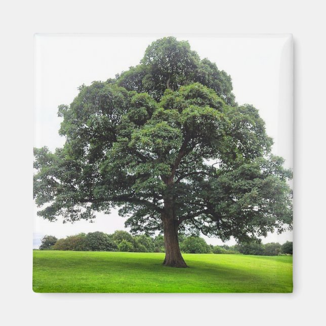 Heaton Park Magnet (Devant)