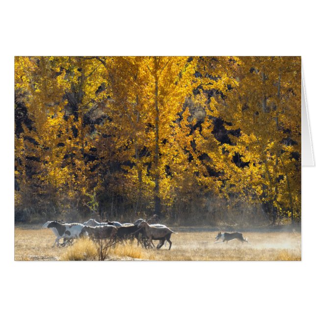 Hébergement d'automne (Devant horizontal)