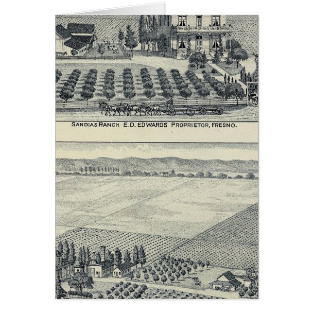 Hedge Row Vineyard, Fresno (Devant)