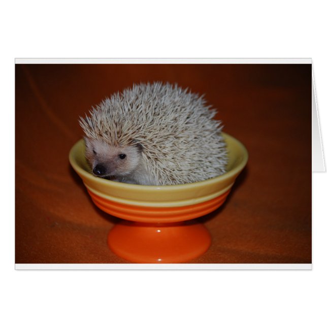 Hedgehog Sundae (Devant horizontal)