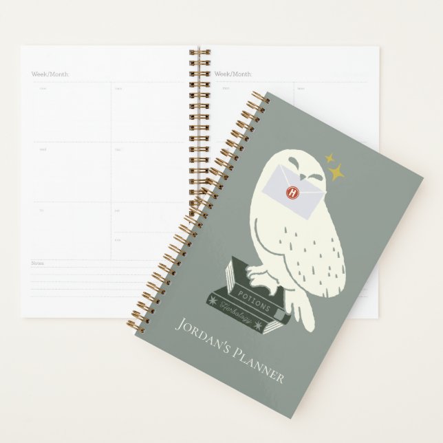Hedwig avec lettre dessin fantaisiste (Devant avec enveloppe)