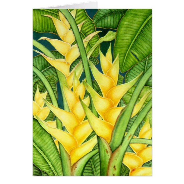 Heleconia jaune (Devant)
