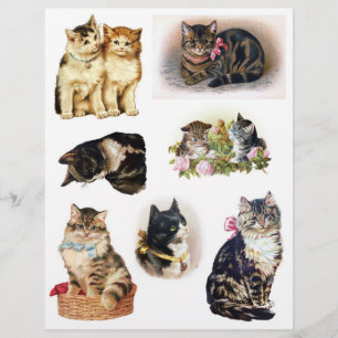 Helena Maguire Chat Vintage, Kitten Art