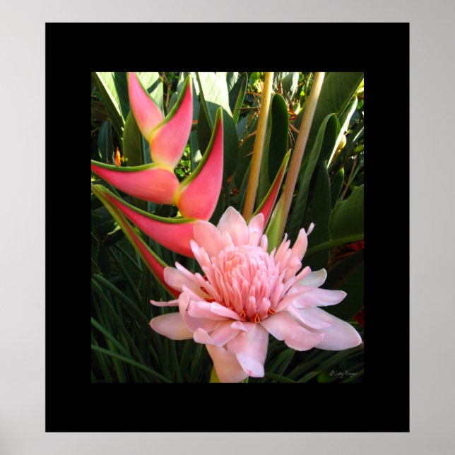 Heliconia Pink Torch Ginger Hawaiian Poster Prince (Devant)