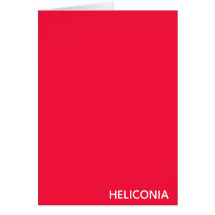 Heliconia red color