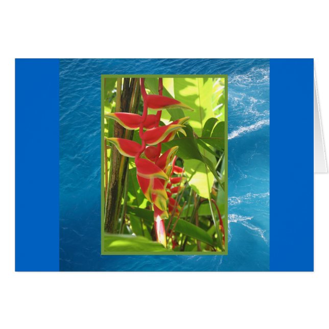 Heliconia rostrata (Devant horizontal)