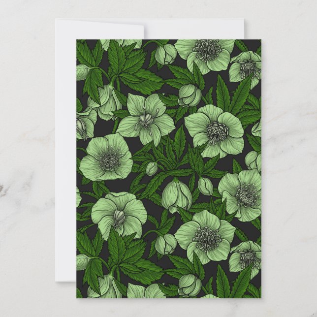 Hellebores blancs avec feuille (Devant)