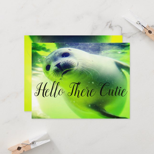 Hello There Cutie (Devant/Arrière en situation)