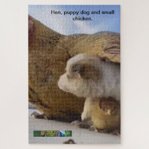 Hen, chien chiot et petit puzzle de poulet.
