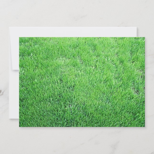 Herbe (Devant)