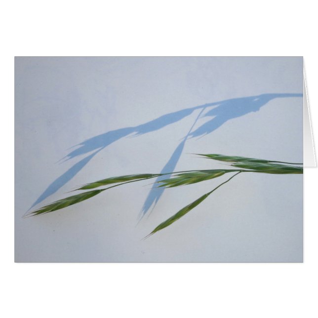 Herbe et ombre (Devant horizontal)