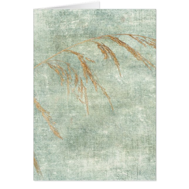 Herbe sauvage (Devant)
