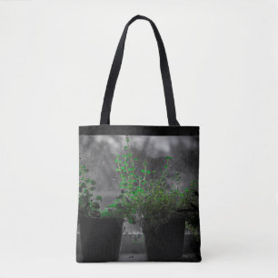 Herbes dans le sac à fenêtre - Thyme Shopping Four