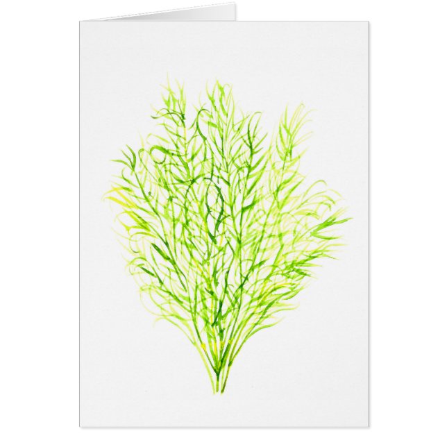 Herbes de moulage Aquarelle de fond (Devant)