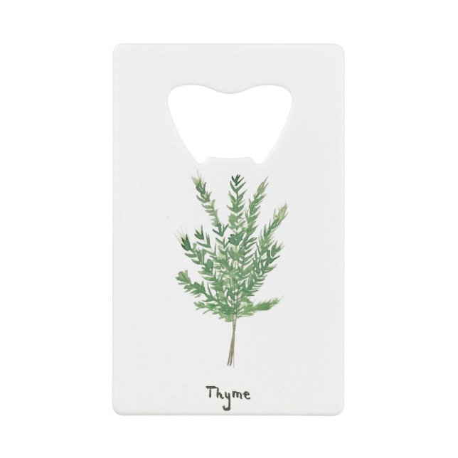 Herbes de thym vert plantes de jardin botaniques v (Devant)