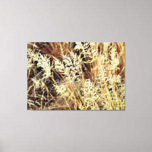herbes désertiques toile enveloppée