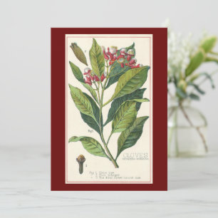 Herbes Épices Alimentaires Anciens, Clous de Girof