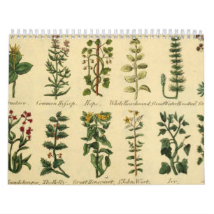 HERBES ET BOTANIQUES, Calendrier Vintage médiéval