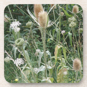 Herbes sauvages Dessous de verre de liège