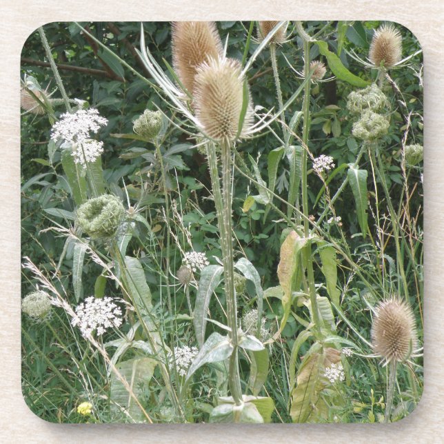 Herbes sauvages Dessous de verre de liège (Devant)