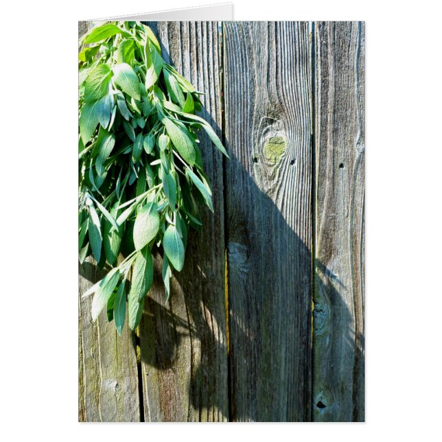 Herbes vertes botaniques à grains de bois affaissé (Devant)